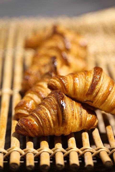 75816_10151216953576814_1527257809_n