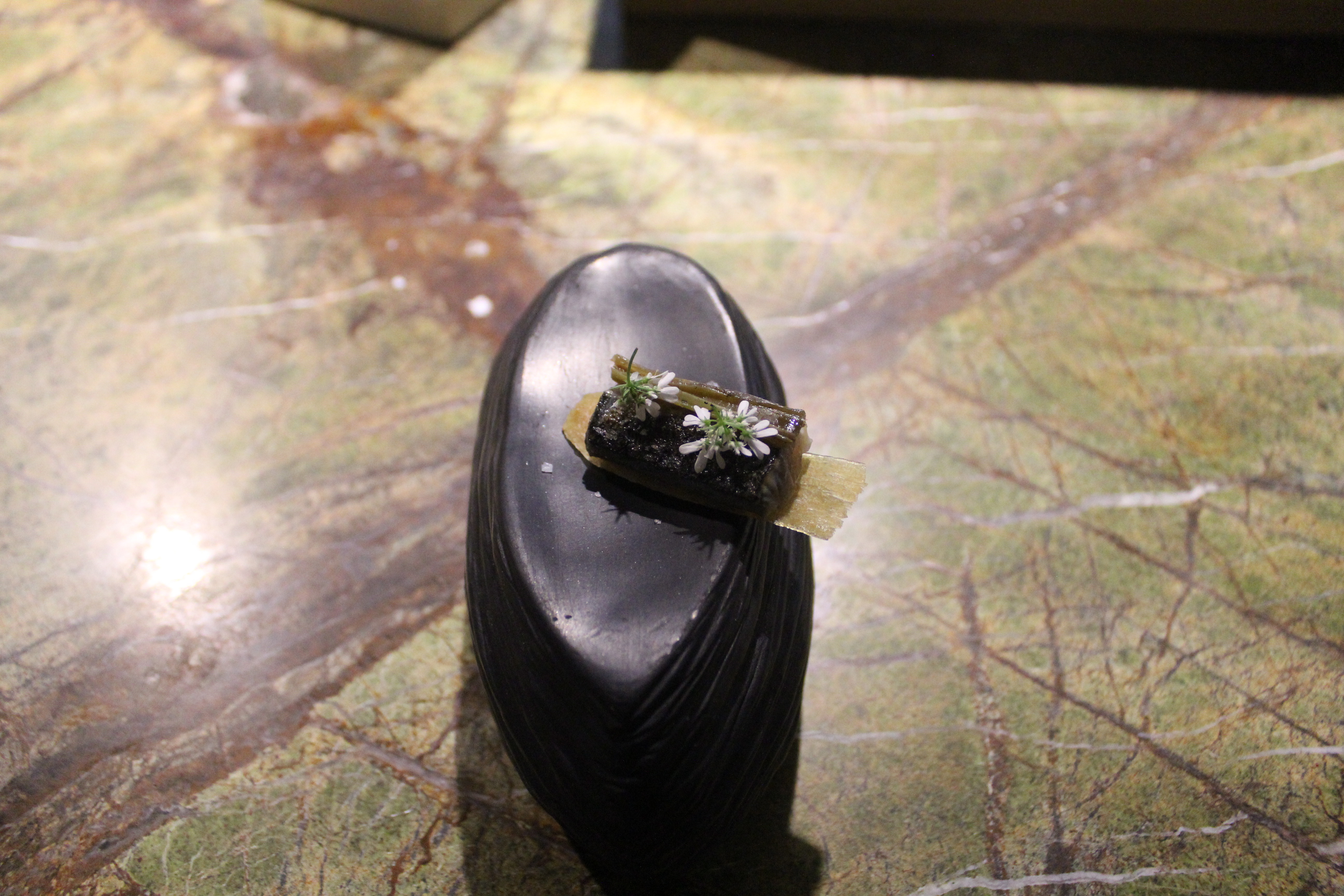 This image has an empty alt attribute; its file name is img_1572.jpg